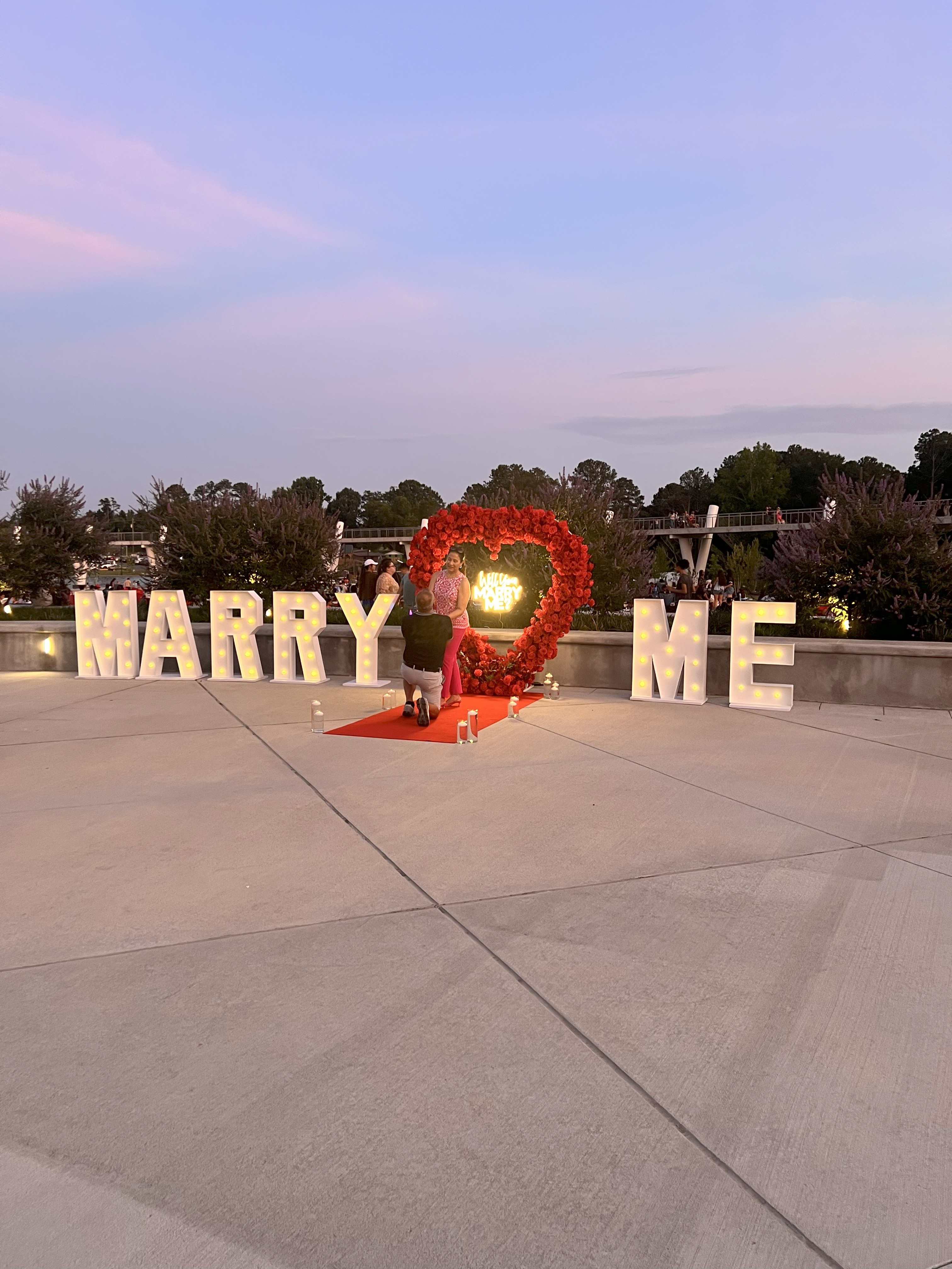 A Beautiful Proposal in Swuanee, Ga