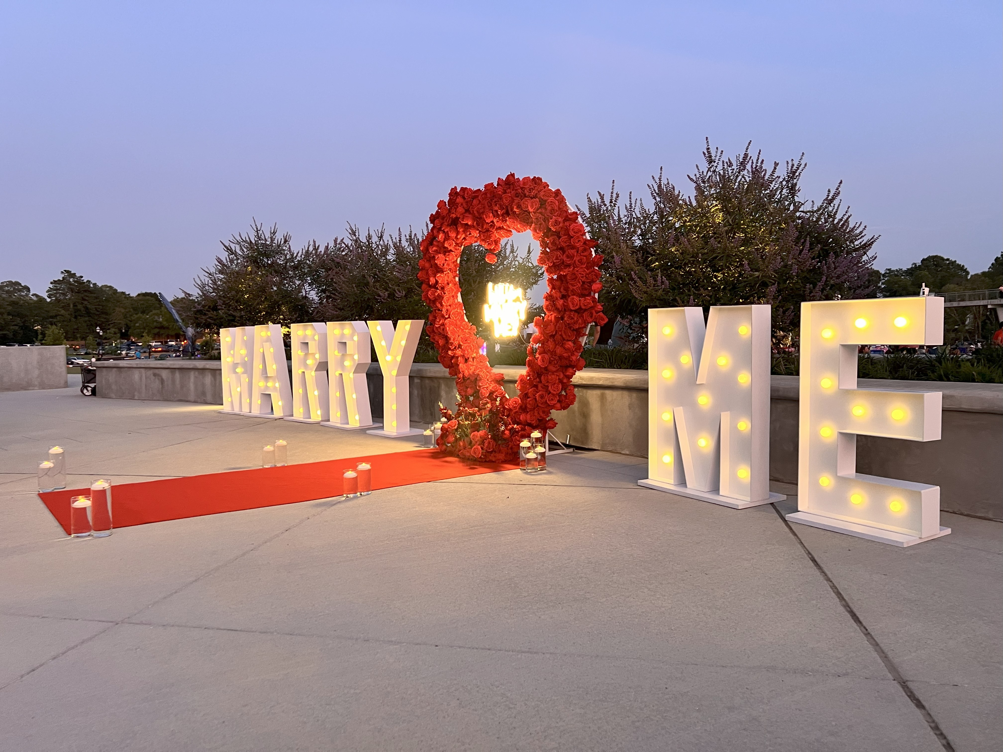 A Beautiful Proposal in Swuanee, Ga. 