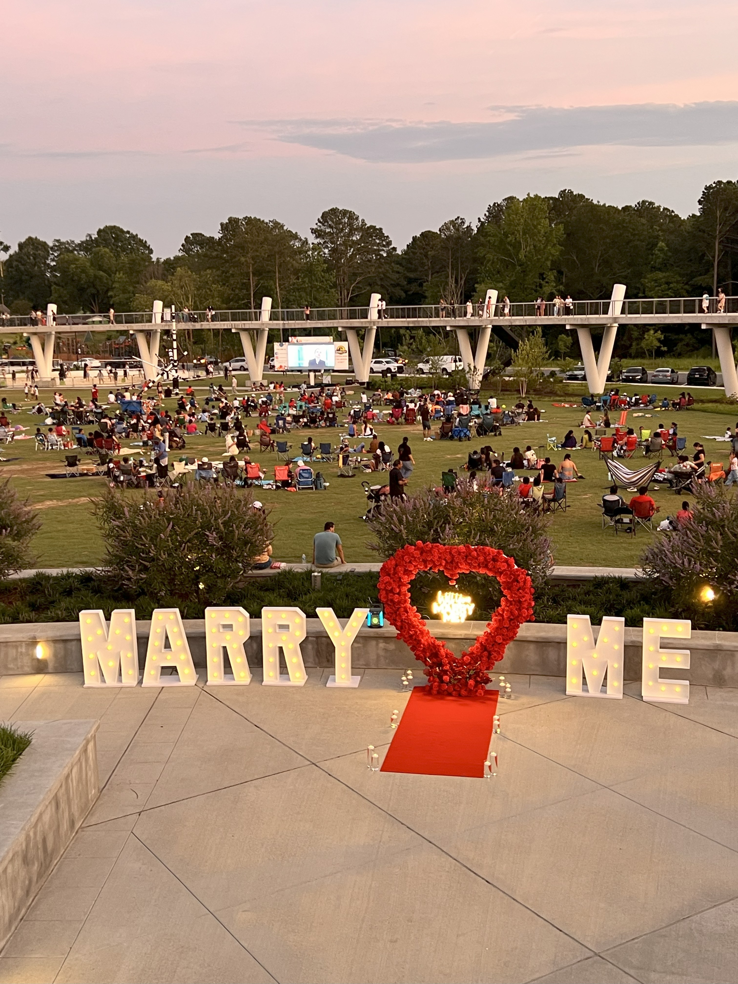 An Amazing Proposal 